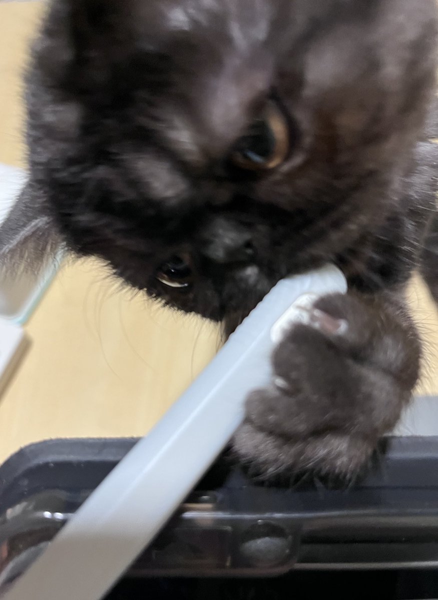 あっああ〜〜！Apple pencilが〜〜！
こりゃ仕事になりませんな〜〜！！
仕方ないですな〜〜！！！