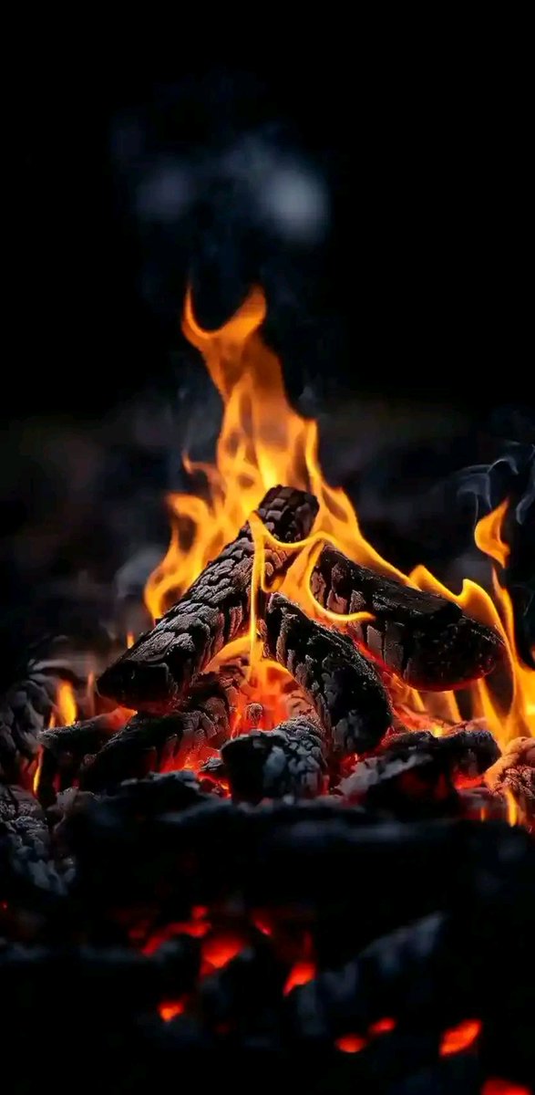 "لا تجعل من نفسك كتاباً مفتوحاً، حتى لا يُمزقك من لا يعرف القراءة ."مساء الخير