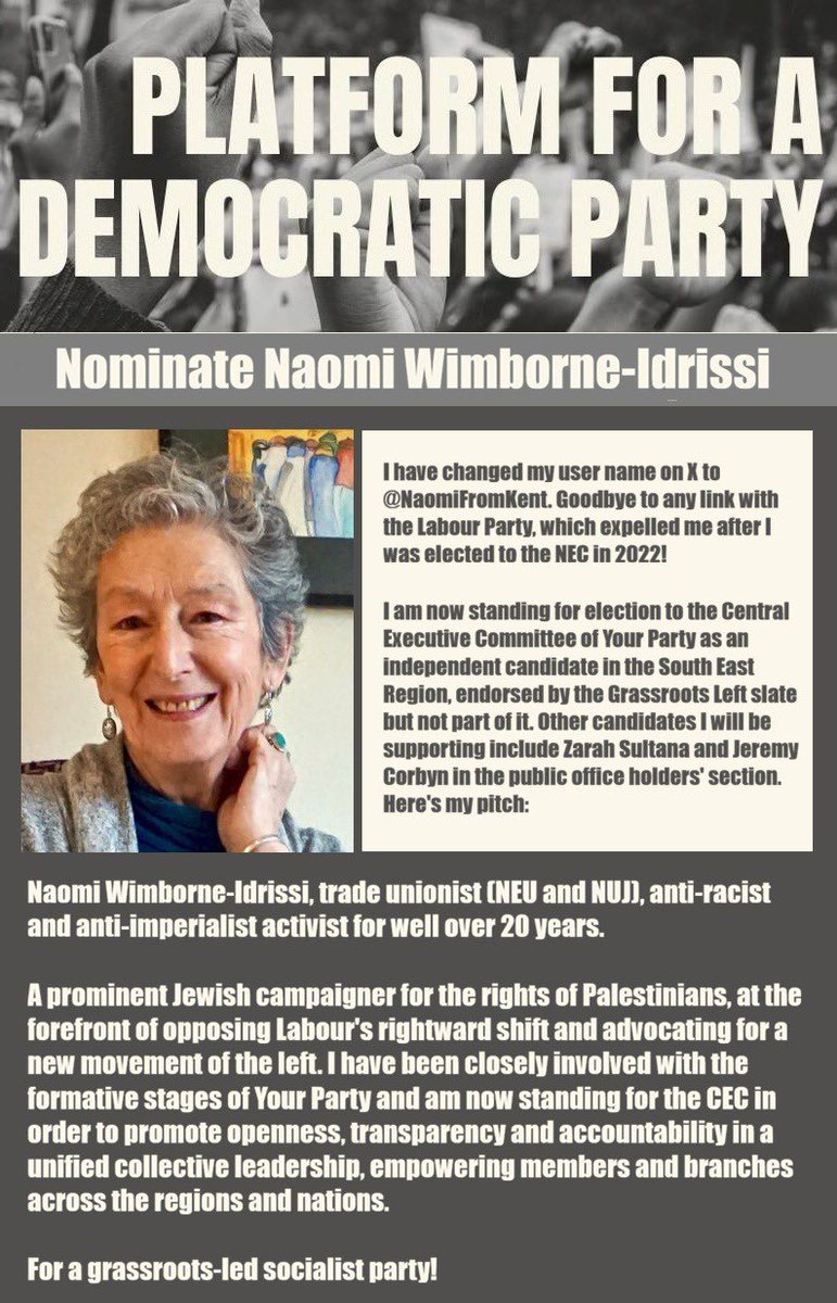 Platform for a Democratic Party tweet media