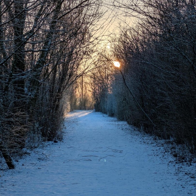 VYNCKE_NV's tweet image. ❄️Winter wonderland❄️

Golden-hour turned our Harelbeke settlement into a fairytale.✨

Swans on a frozen lake 🦢, snowmen clocking in to greet visitors⛄ and paw prints in the snow reveal the wildlife that calls our settlement home.

#Vyncke #CleanEnergyTechnology #SnowMuchFun
