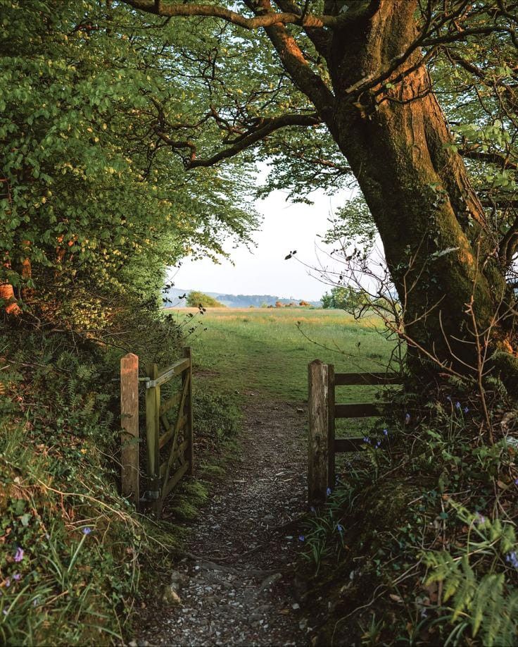 greenvibe's tweet image. 