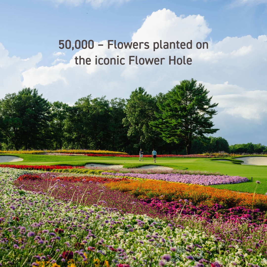 SentryWorld tweet media