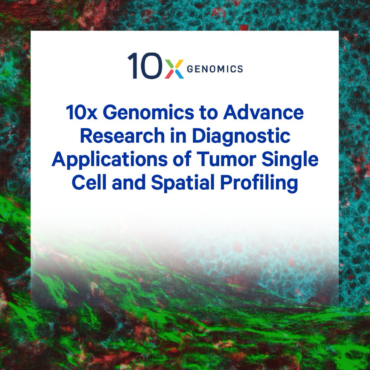 10x Genomics tweet media