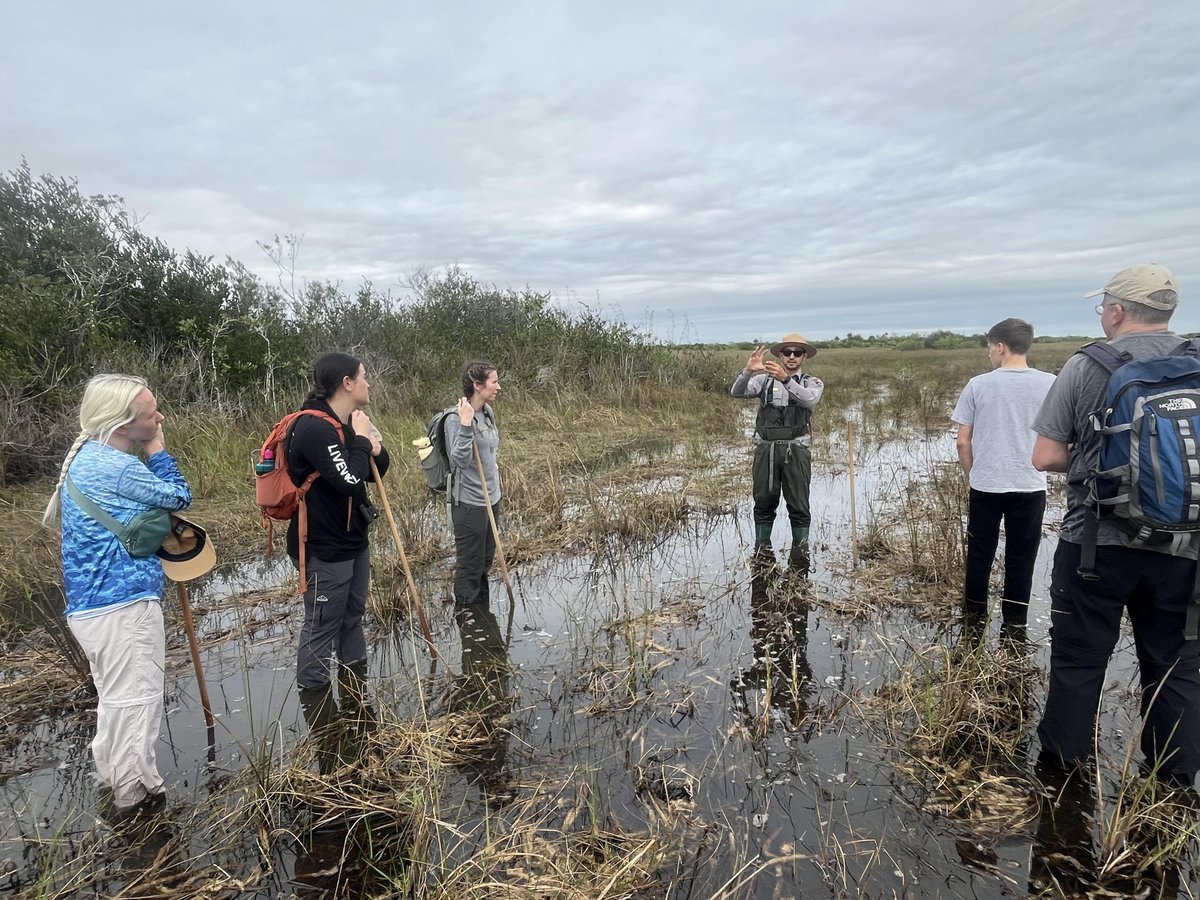 EvergladesNPS's tweet photo. Join a ranger-led program this winter! Many need online reservations. Get details here: https://t.co/BYnbKvYbuB Can’t wait to see you on the trail! #EvergladesNationalPark #Everglades #RangerProgram #RegistrationRequired #Fareharbor https://t.co/gCbDqhSgPd