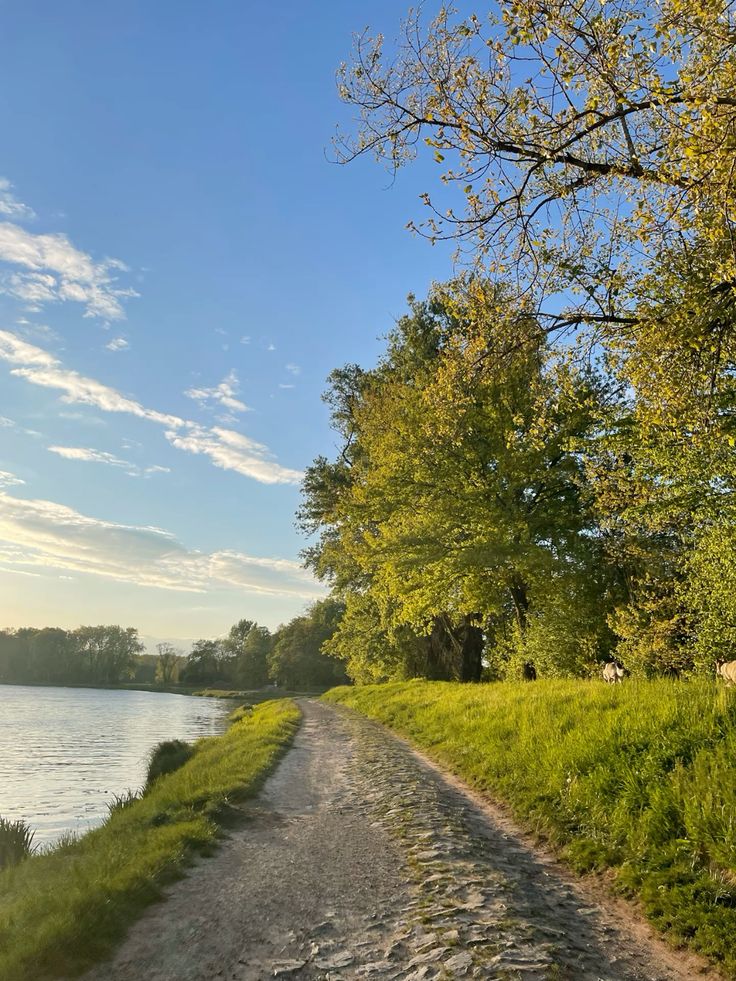 greenvibe's tweet image. 