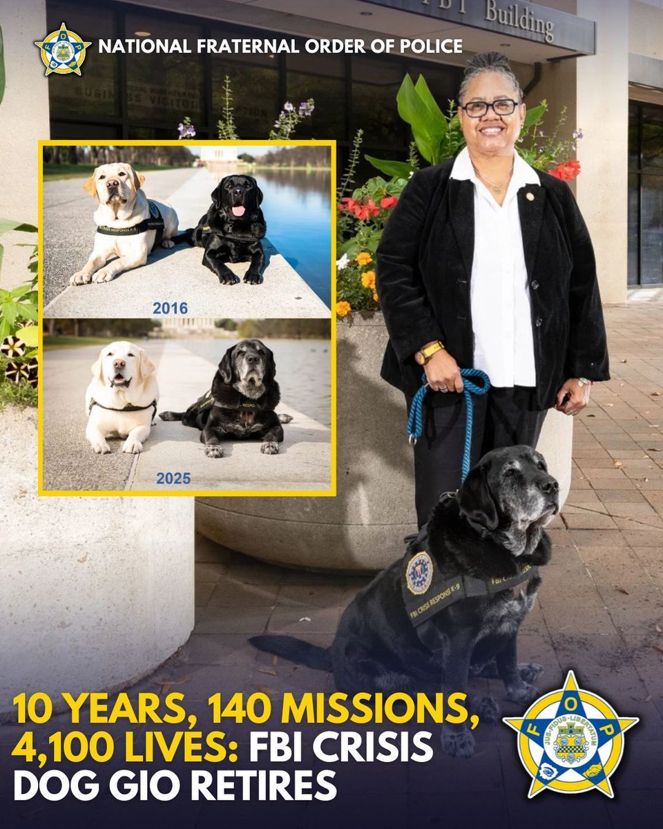 GLFOP's tweet photo. Ten years. Over 140 deployments. More than 4,100 victims and families supported.
FBI Crisis Response Canine Gio is retiring after a decade of quiet, steady service. From mass violence scenes to federal courtrooms, Gio helped victims find calm in moments most of us cannot imagine.

This work is not about attention. It is about showing up when people are at their most vulnerable and giving them enough peace to tell their story.

Thank you, Gio, and thank you to the handlers who walk beside these dogs every step of the way.
Service looks different sometimes. It still matters just as much.

Source: Federal Bureau of Investigation
Used for informational purposes

#FOP #ServiceBeforeSelf #WorkingDogs #CrisisResponse #LawEnforcementSupport #HonorTheWork