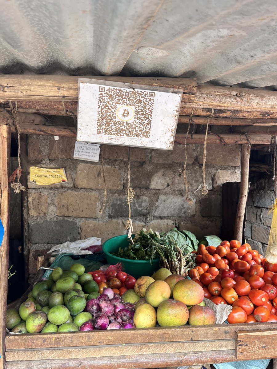 Documenting ₿itcoin 📄 tweet media