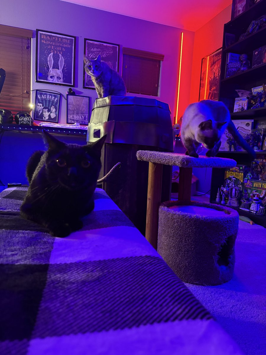 Arcadeic tweet media