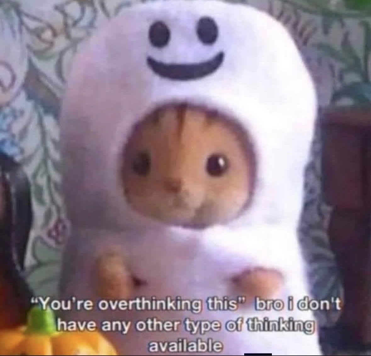 ADHDForReal's tweet image. 