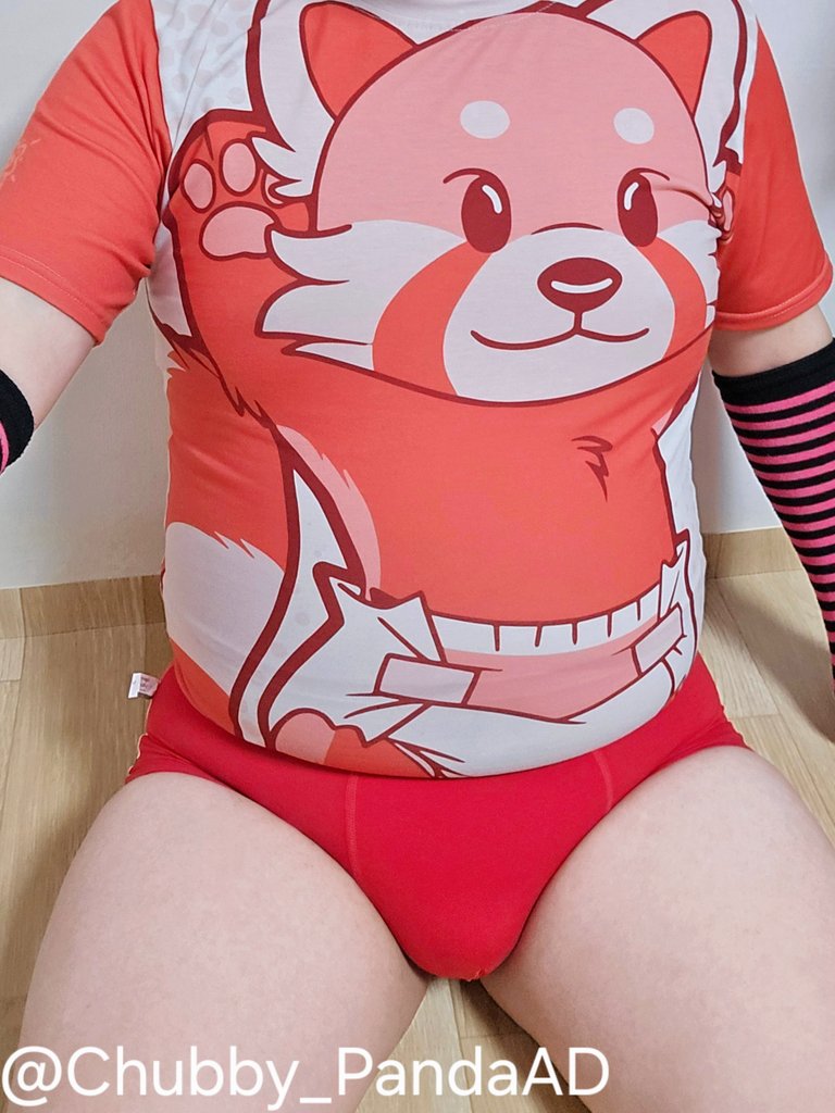 Chubby Panda AD tweet media