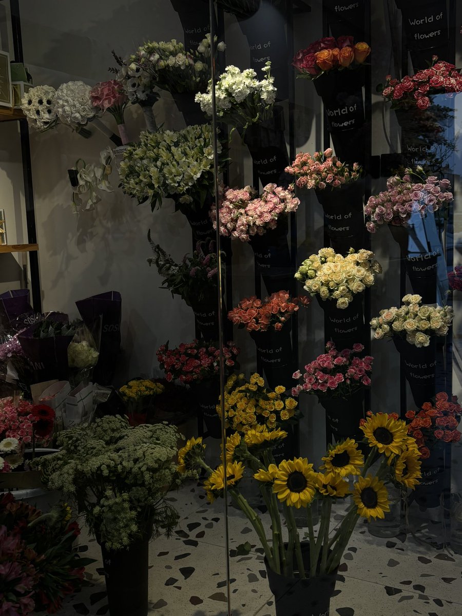 veiledte's tweet image. 