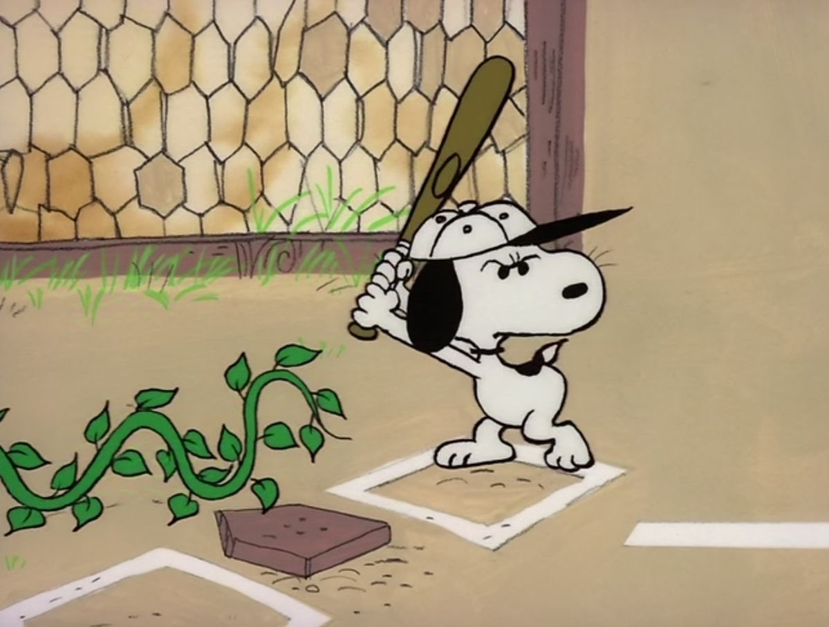 snoopyzito's tweet image. 