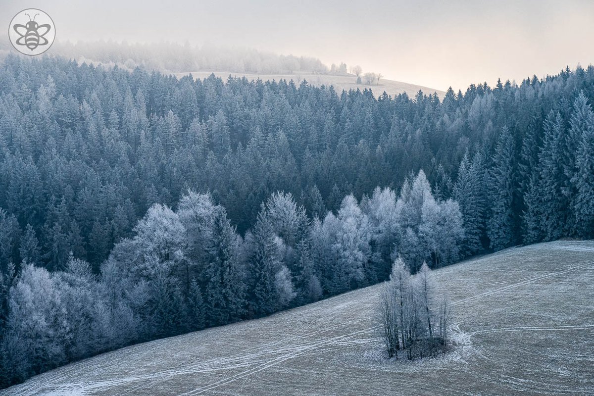 atomicbeecz's tweet photo. Ledová krajina / Frozen land #frozen #FrozenLand #land #landscape #landscapephotography #photo #photography #CzechRepublic #Czechia https://t.co/RSr9U92oHy