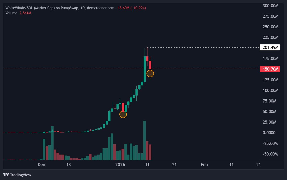 Degen_Hardy's tweet photo. They told me memes were dead.

Then $WHITEWHALE went up only and tapped $200M.

Reloading.... https://t.co/gvi0x3gnQP