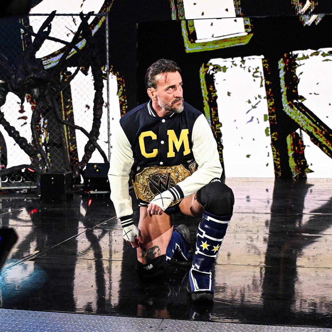 Truth still hurts, doesn’t it? ✶ NOT @CMPunk tweet media