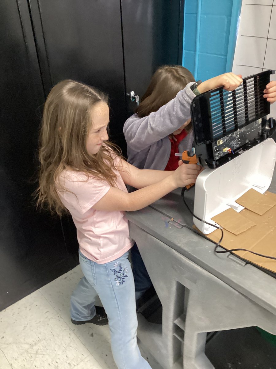 Erin Macsurak tweet media