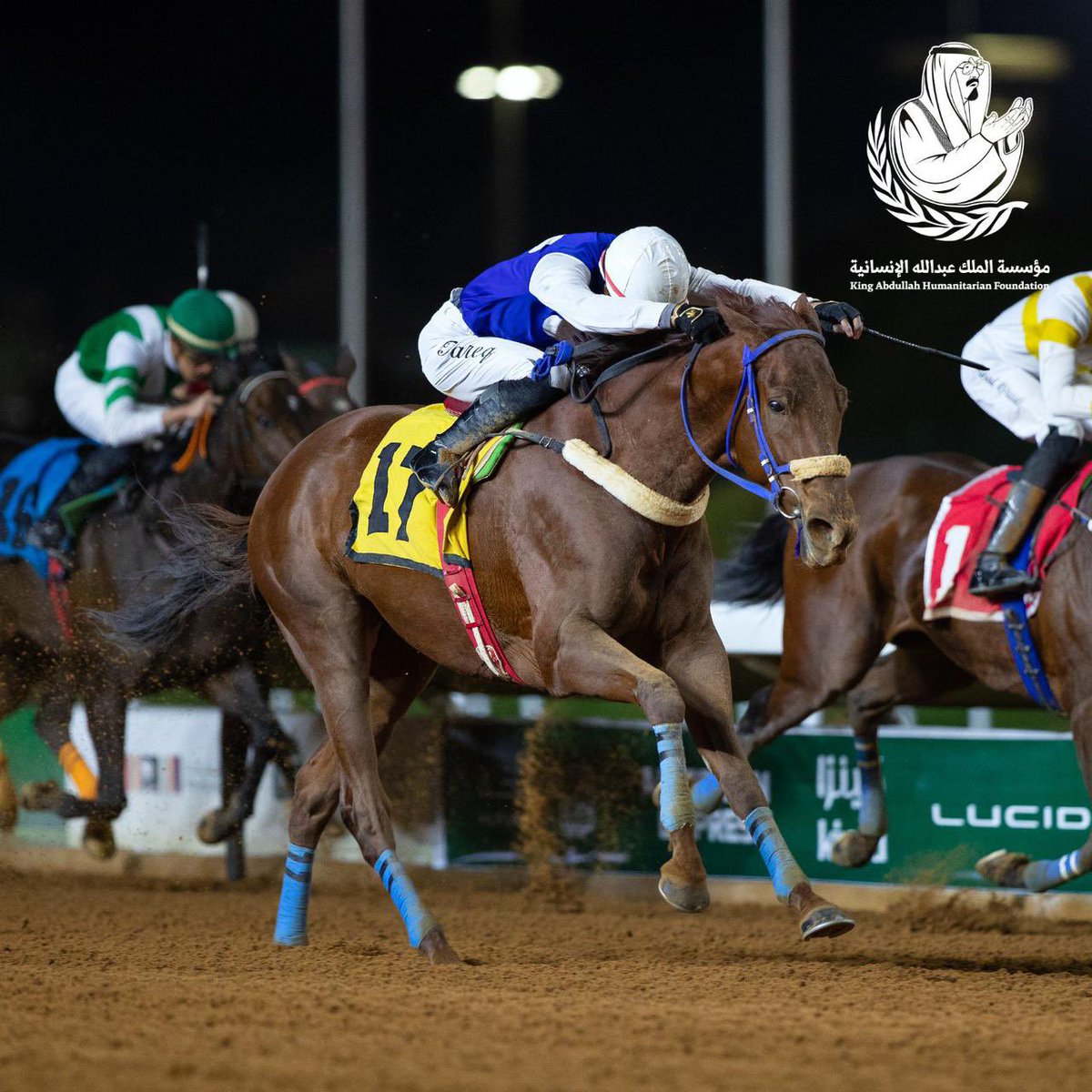 Saudi_Racing's tweet photo. 📌 ارشيف النسخة الاولى من اشواط دعم مؤسسة الملك عبدالله الإنسانية - 2025

🏆كأس مؤسسة الملك عبدالله الإنسانية للحصن
قيمة الجائزة:250.000

◻️الفائز:ذليق
◻️الأب:BIZ BLITZ
◻️الأم:RANDOMIZER
◻️المالك :ابناء فهد محمد الازمع ابواثنين
◻️المدرب :مسلط الازمع
◻️الخيال :طارق المنصور
◻️المسافة :1800 متر 
◻️الزمن: 01:54:96
◻️المُنتج: عبدالرحمن عبدالله عبدالعزيز المخضوب

#جائزة_مؤسسة_الملك_عبدالله_الإنسانية_للخيل_2026
#سباق_يرى_وأثر_يروى
@KahfHorseAward
@KAHFORG 
@FrusiyaClub 
@drabdulazizang 
#مؤسسة_الملك_عبدالله_الانسانية 
#موسم_سباقات_الرياض 
#نادي_سباقات_الخيل 
#سعودي_ريسنج