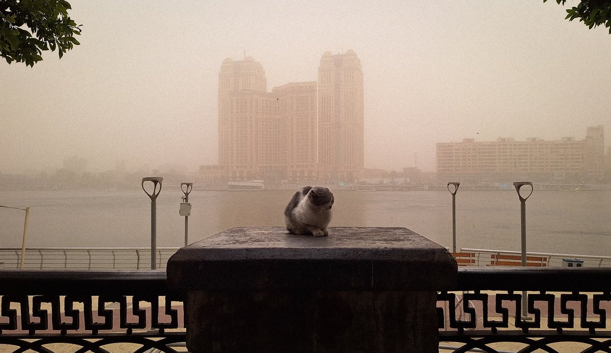 PaulHumee's tweet photo. Zamalek in a sandstorm. https://t.co/m8haJ2EJWN
