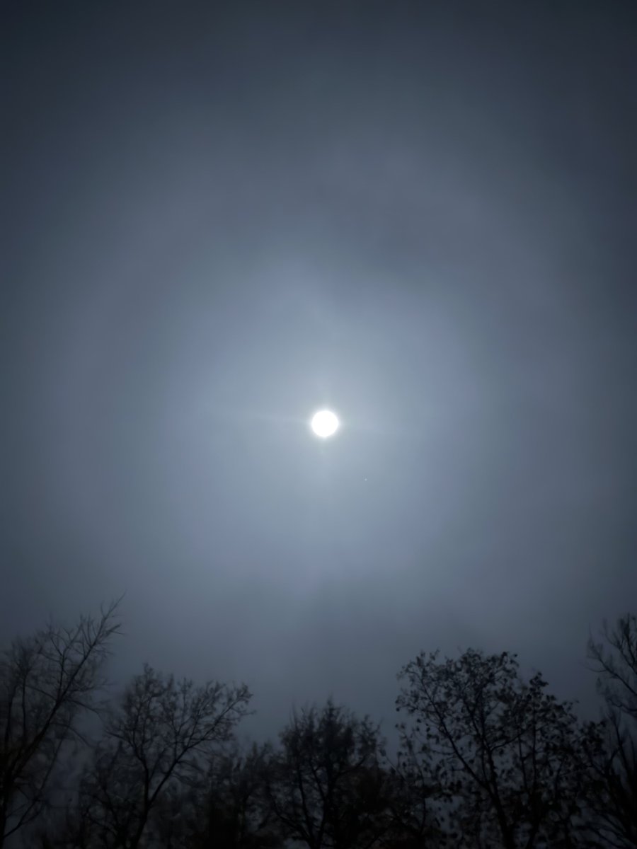 Bomp 🎰 tweet media