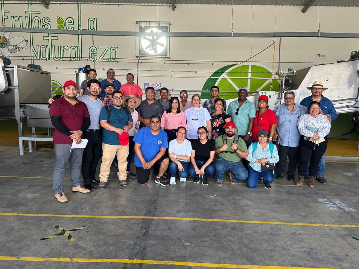 A través del Programa Conjunto México-Japón 🇲🇽🤝🏼🇯🇵 se realizó el Diplomado Internacional en Agroecosistemas de Frutas Tropicales 🥭🍍, con la participación de 16 funcionarias y funcionarios de El Salvador 🇸🇻, Guatemala 🇬🇹 y Cuba 🇨🇺.

La alianza estratégica entre la #AMEXCID y