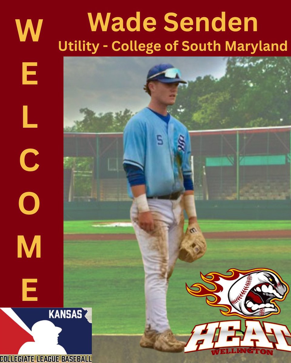 WellingtonHeat tweet media