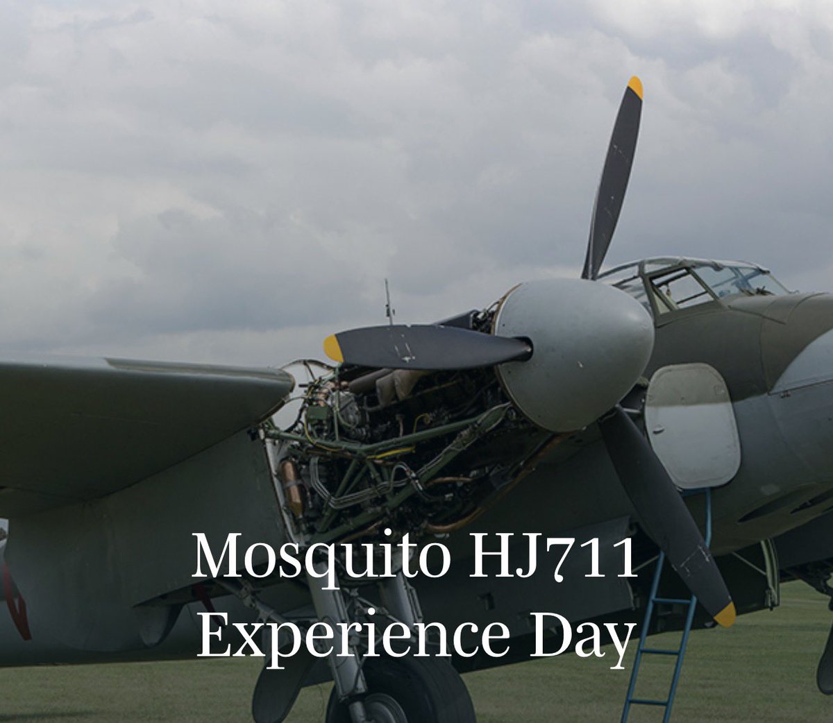 Mark Long Trust tweet media