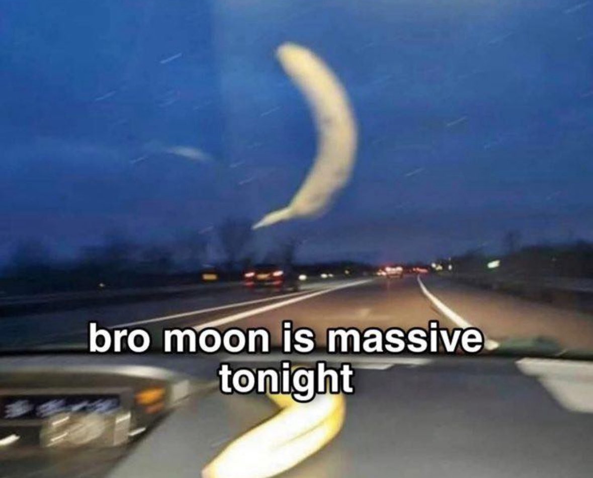 RespectfulMemes's tweet photo. https://t.co/ysITWAR73Y