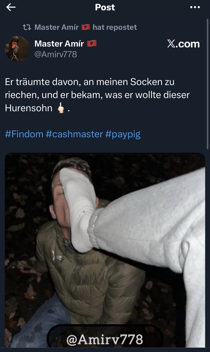 Firedragon666 tweet media