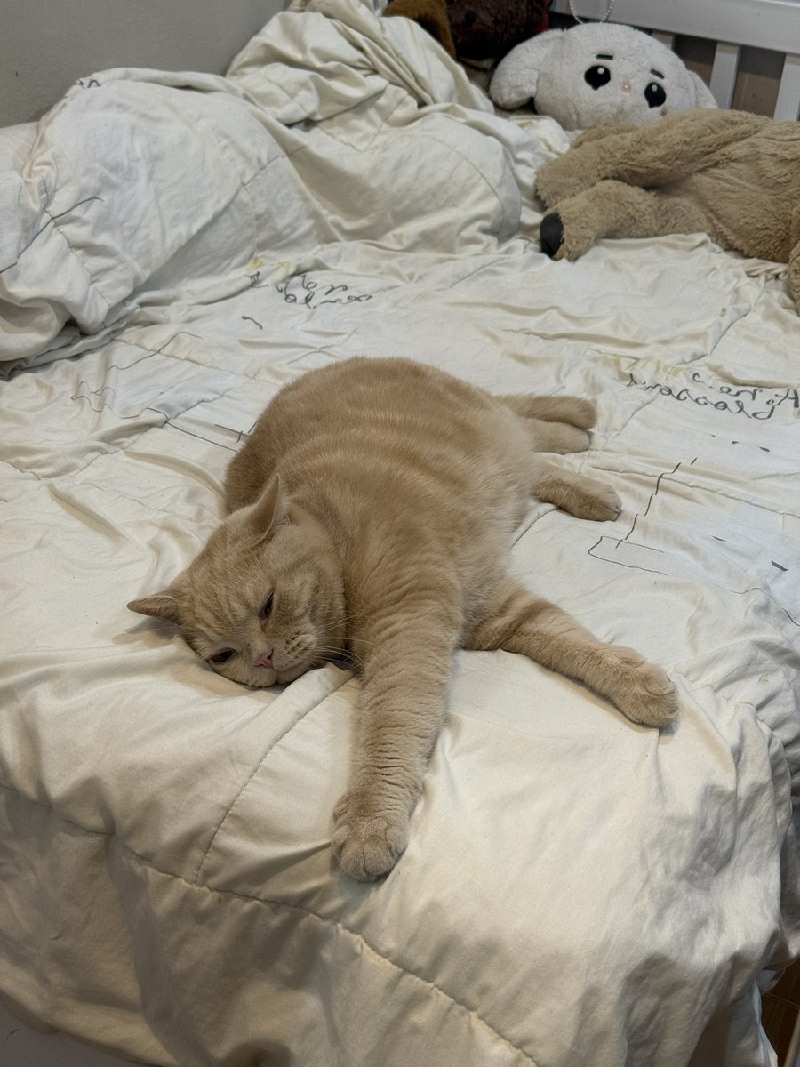 pieceofthecloud's tweet image. เวลคัมโฮมนะแม่นะ