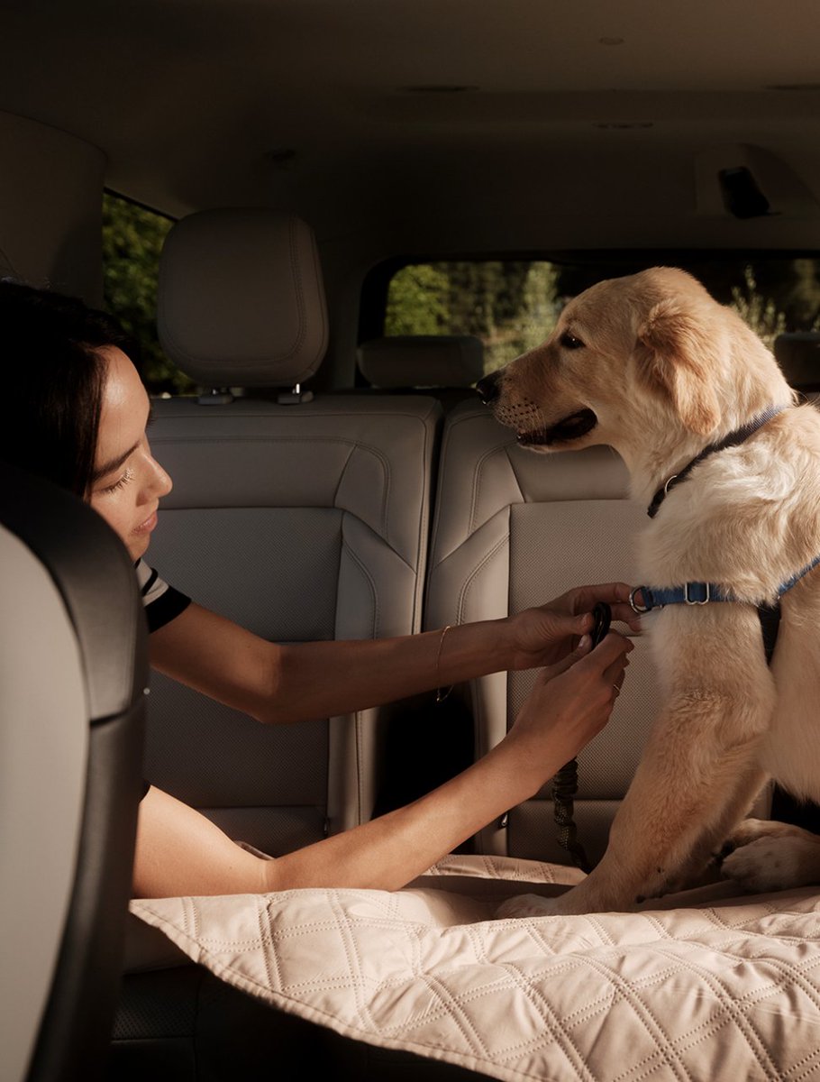 AlPackerLincoln's tweet photo. Wherever your family goes, kids, bags, and furry friends included;  the Lincoln Navigator brings comfort to every mile.
Start your next trip with Al Packer Lincoln.

#alpackerlincoln #lincoln  #nautilus #aviator #navigator #corsair #westpalmbeach https://t.co/NpOtsFfZ2W