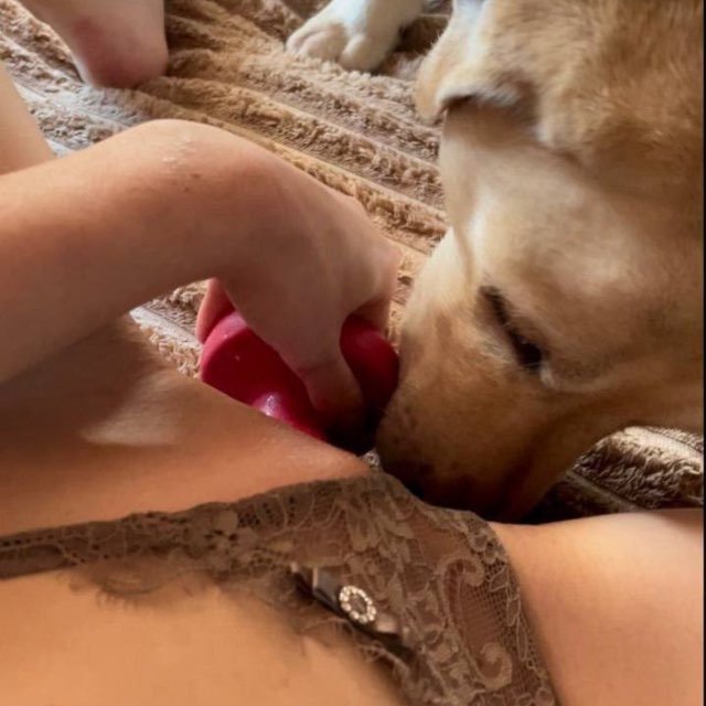 titu15716's tweet photo. Favorite knotty girl💦🐶🐾 into every kink and taboo 🥰 HMU for new and fresh vids😉😘ASK FOR MENU serious SUBSCRIBERS ONLY🐶💦 https://t.co/JD2QJjkwpw