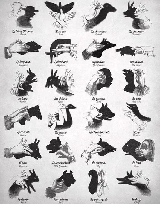 earnknowledgee's tweet photo. A guide to various hand shadows https://t.co/h2i4Us6ZED