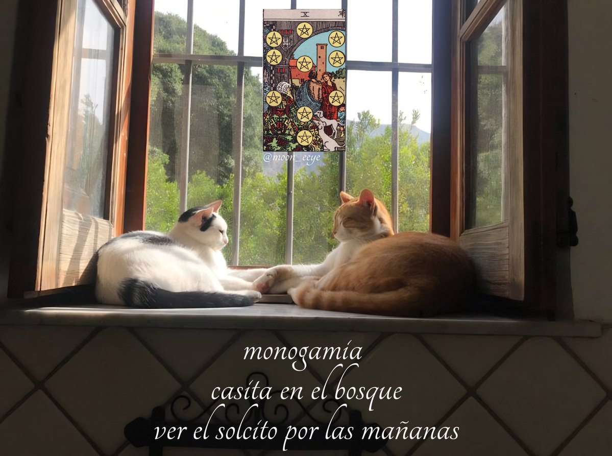 Moon eye ⚸ tarot (@moon_eeye) on Twitter photo 