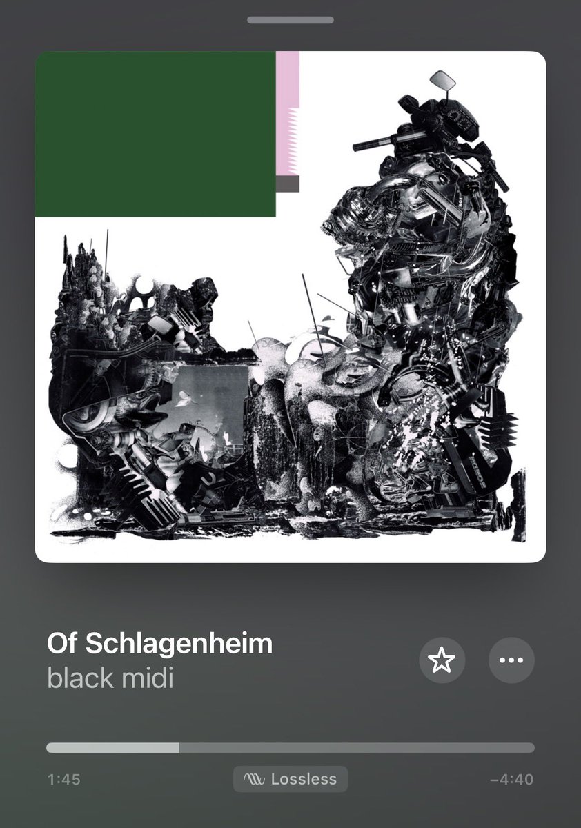 RIP matt kwasniewski-kelvin <3
an insanely talented musician who was inarguably the driving force behind this album’s weird, jagged, noisy sound. a crucial piece of the puzzle, black midi were a fundamentally different band without him