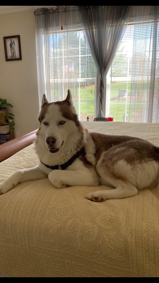 Angie Bell tweet media