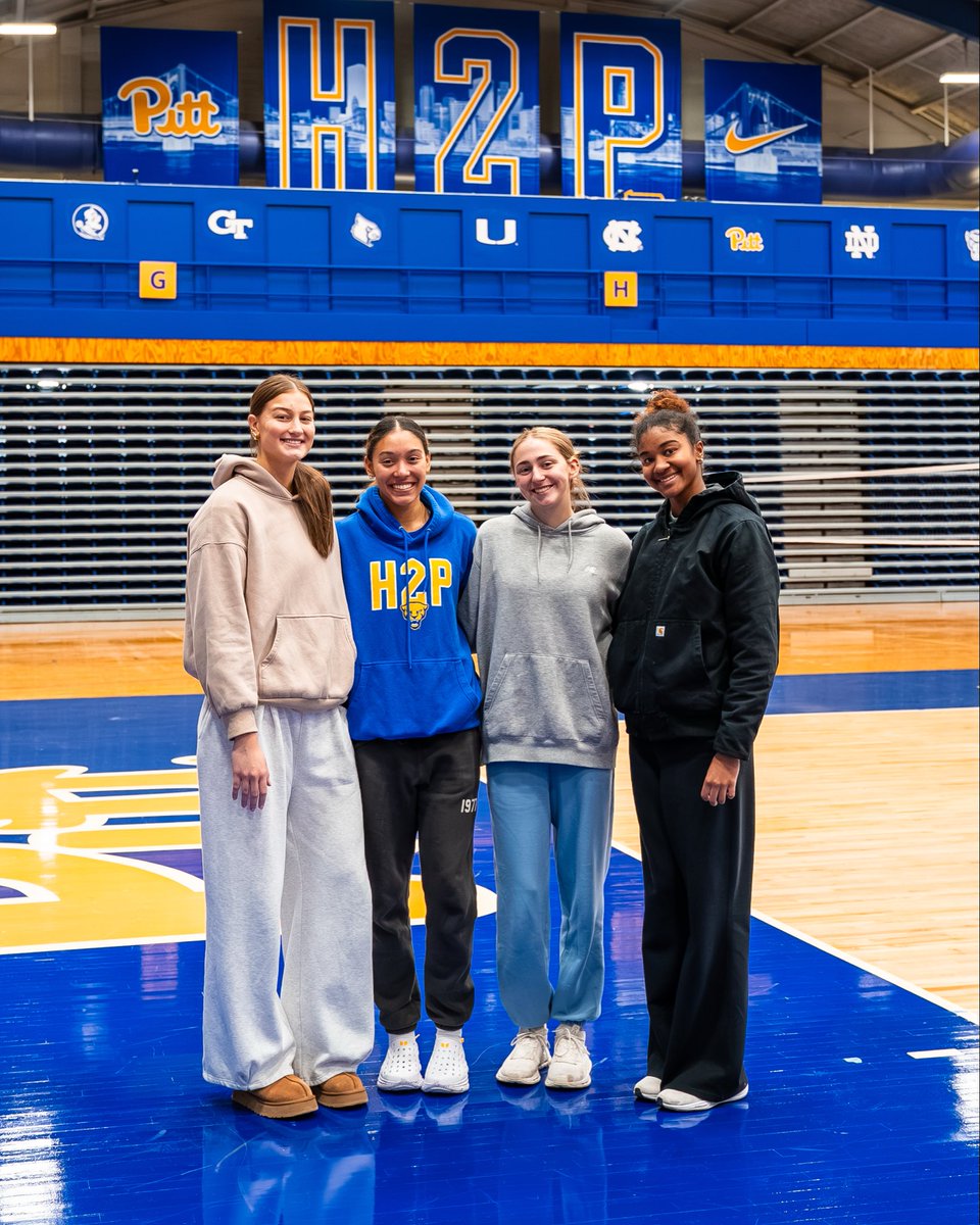 Pitt Volleyball tweet media