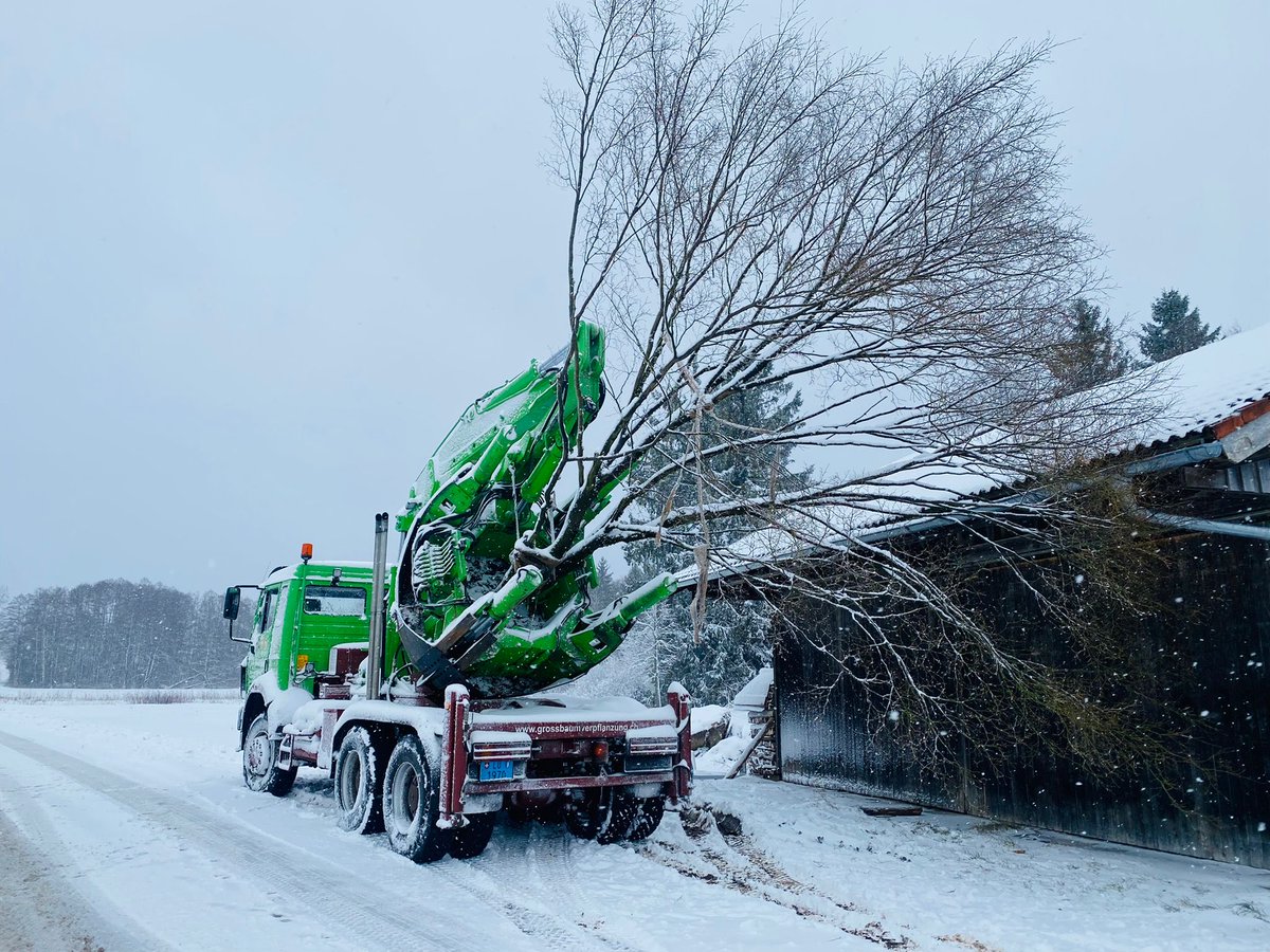 Baumboerse's tweet photo. Schönen Montagmorgen!
Wir starten motiviert in die neue Woche und freuen uns auf die anstehenden Projekte. 🌱🌳

Bei Fragen rund um Grossbaumverpflanzungen stehen wir Ihnen als Spezialisten jederzeit gerne zur Verfügung. https://t.co/cyBPEQAgnV