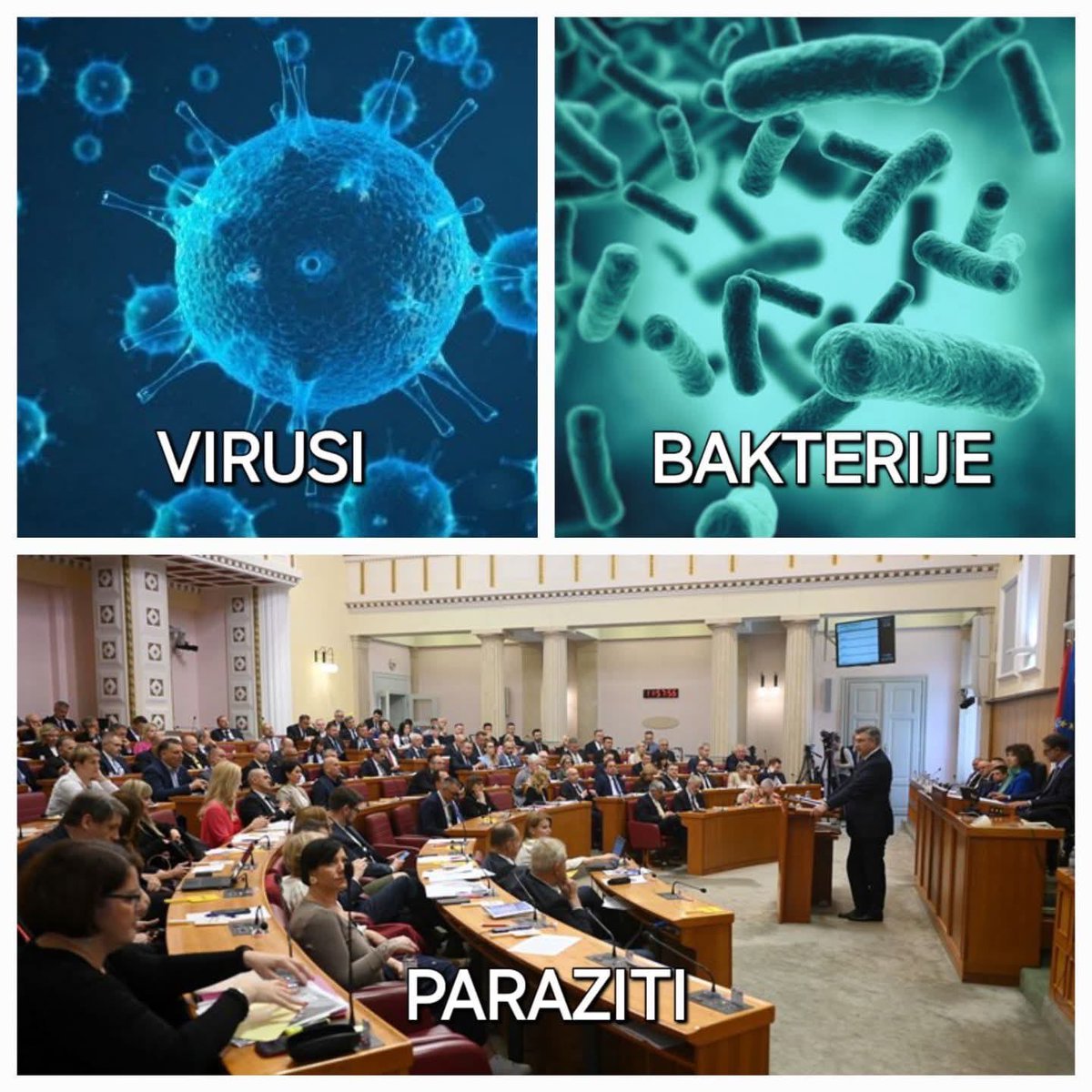 Ana Blu💙 (@anaplavablu) on Twitter photo 