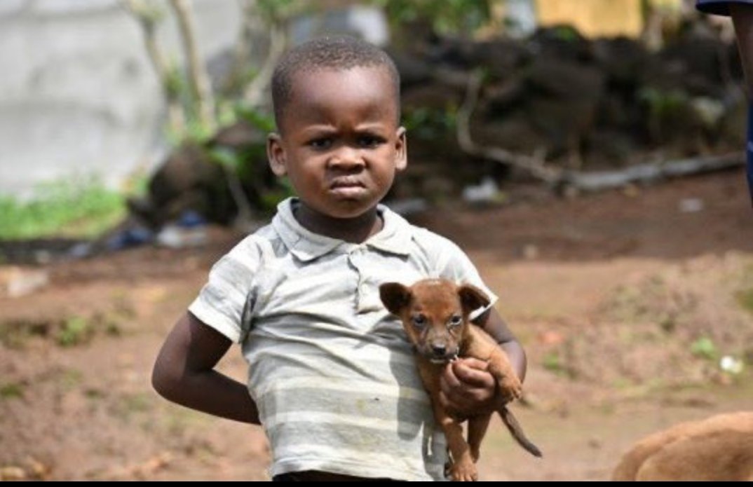 Laizer360389035's tweet photo. Kumbe kuna secret codes pale green app😂😂 https://t.co/1Suaj3BOR8