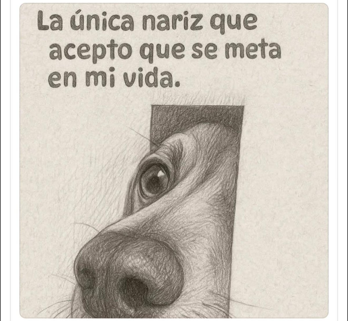 EnsedeCiencia's tweet photo. Ya sabes. https://t.co/GmUXTrA2TI