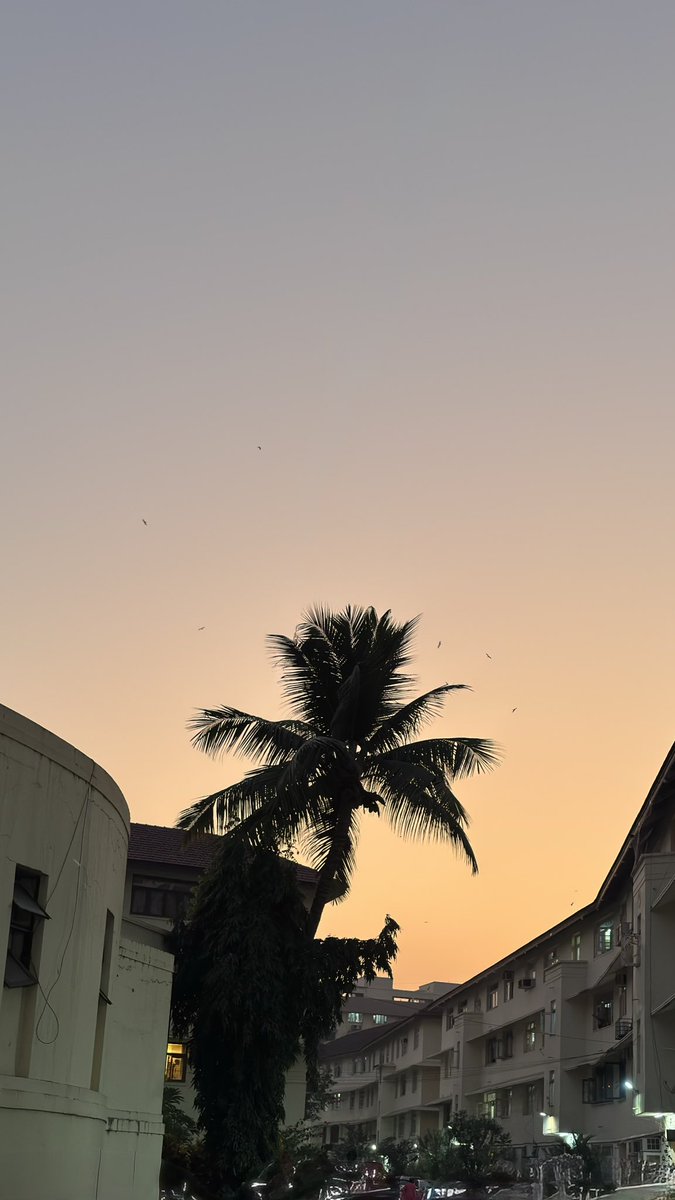 Just another evening..

#iPhonePhoto #streetphotography