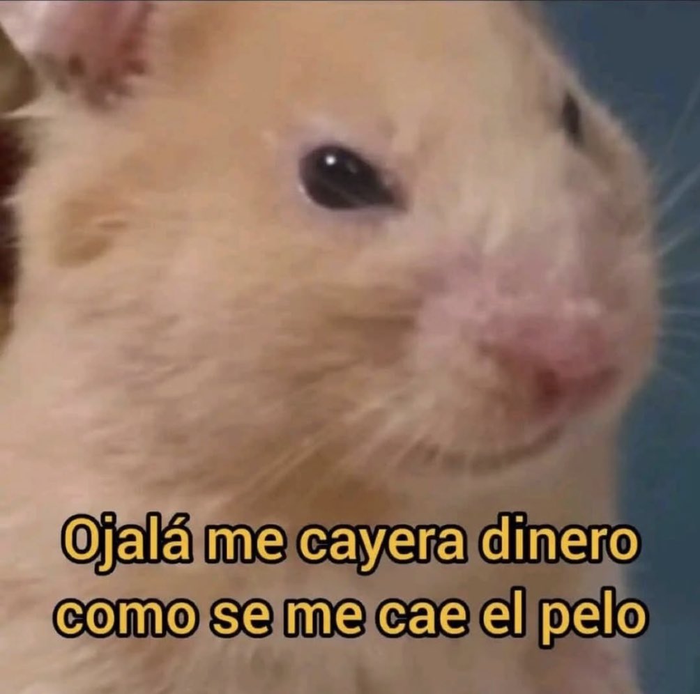 Guarromantico_'s tweet image. Ojalá.