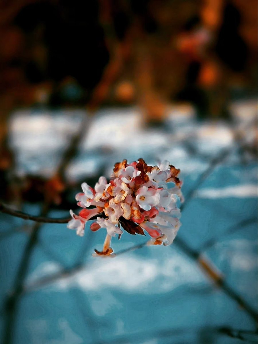 notes & pictures tweet media