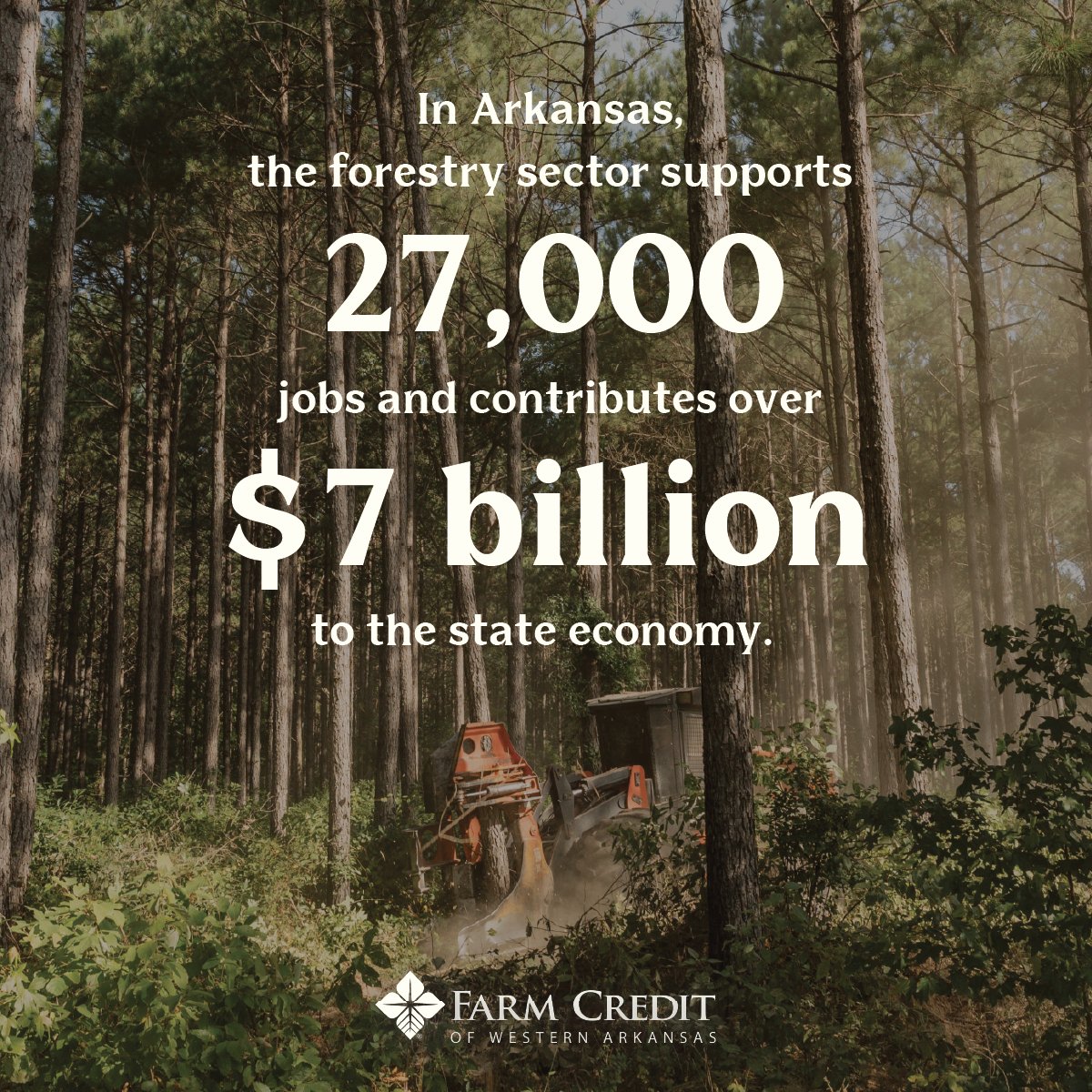 Did you know that the forestry sector in Arkansas supports 27,000 jobs and contributes over $7 billion to the state economy? 🌲

Read more about the Arkansas timber industry in the Fall 2025 edition of the Rural Scene magazine: hubs.ly/Q03-gJNx0
