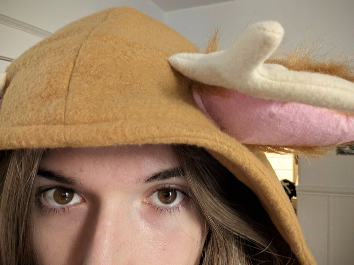 🍃audumb🍂𐂂 tweet media