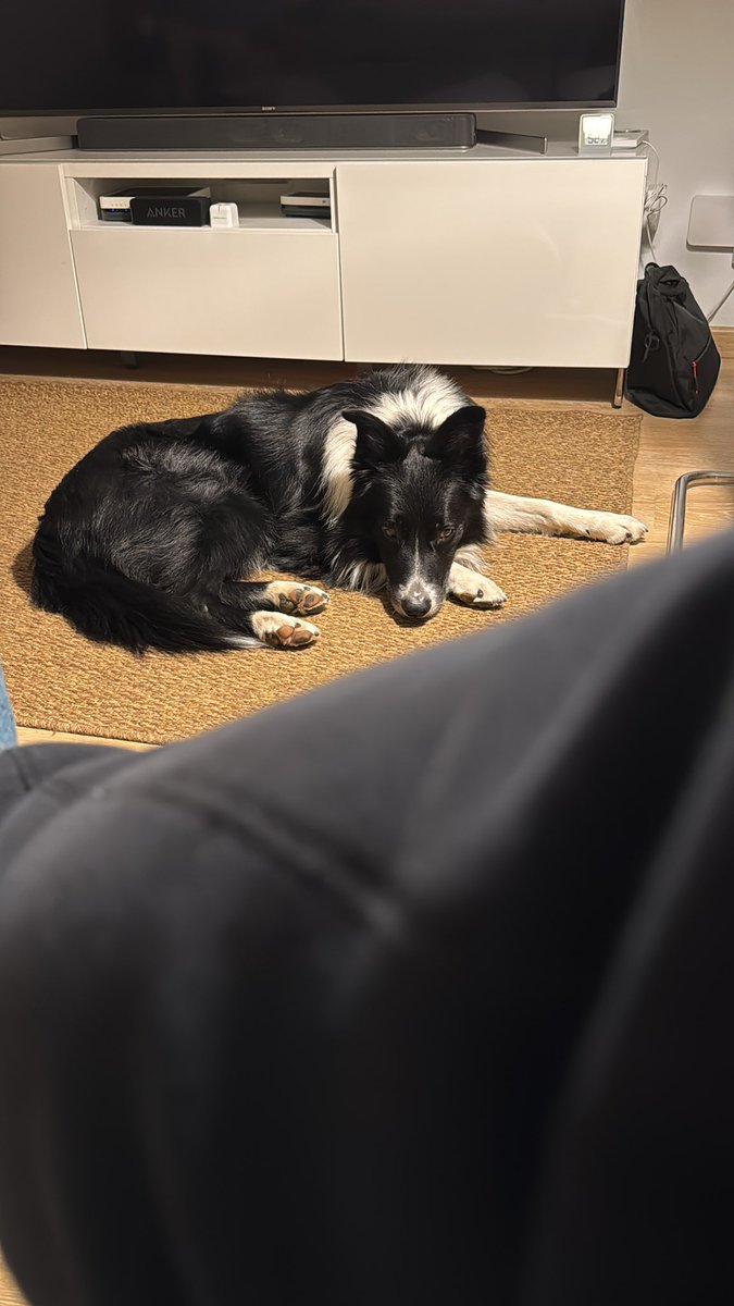 Crec que algú vol sortir… i m’ho està fent saber…