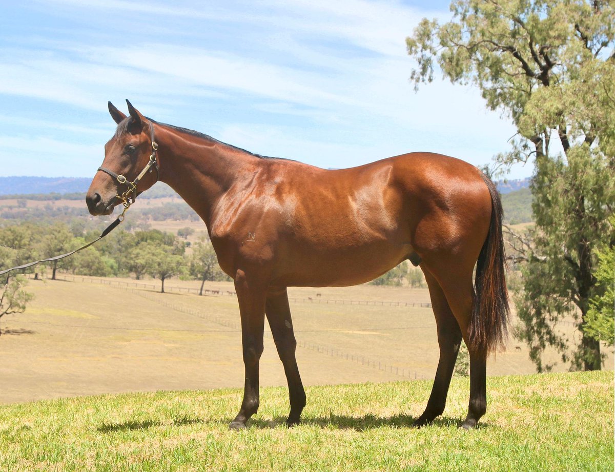 Middlebrook Valley Lodge tweet media