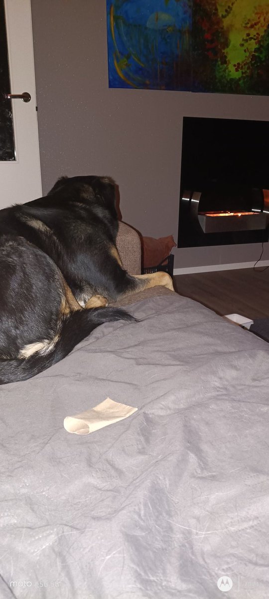 Mökötän 😕
Heitteille jätetty koko päiväksi (3h) jonkun kuivan käntyn viskasi mennessään, kakskytsataa tuntia pidätellyt pissaakin 🤔😠