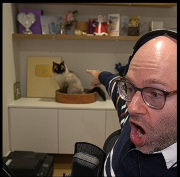 addams family stan account🫃 (librarian) (@northerniion_lp) on Twitter photo 