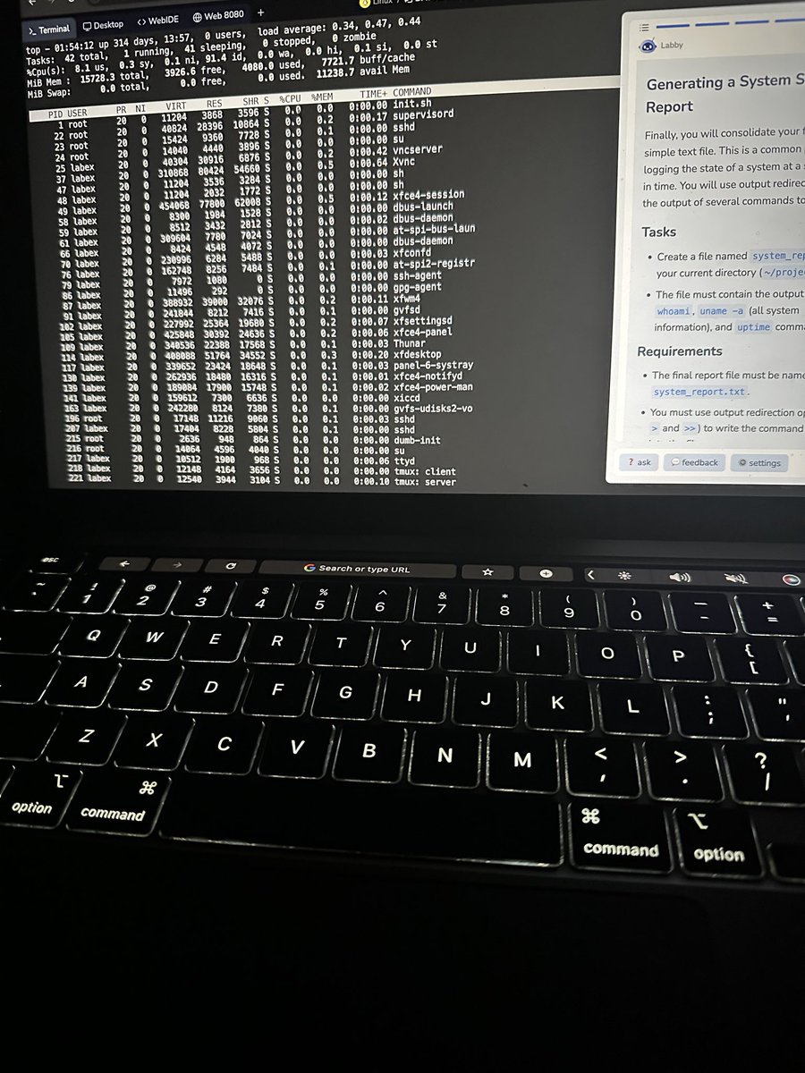 Aisha💕 tweet media